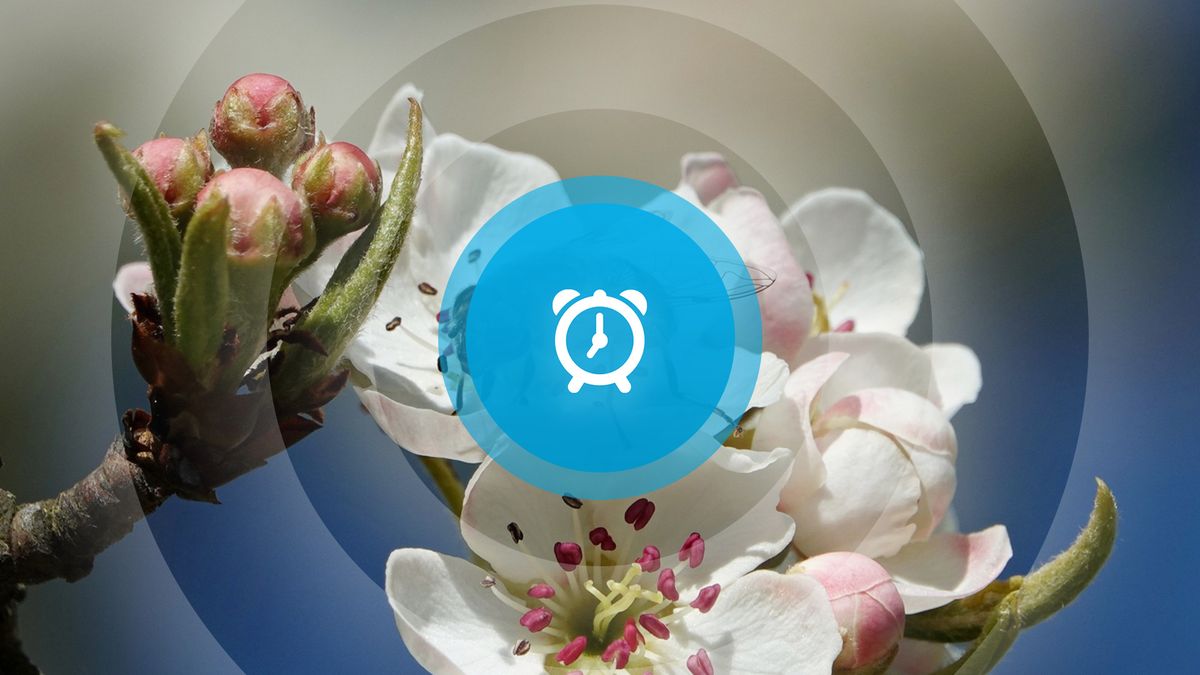 Goedemorgen! Middeleeuwse vondsten, aantal koren loopt terug en Zeelandbrug weer dicht