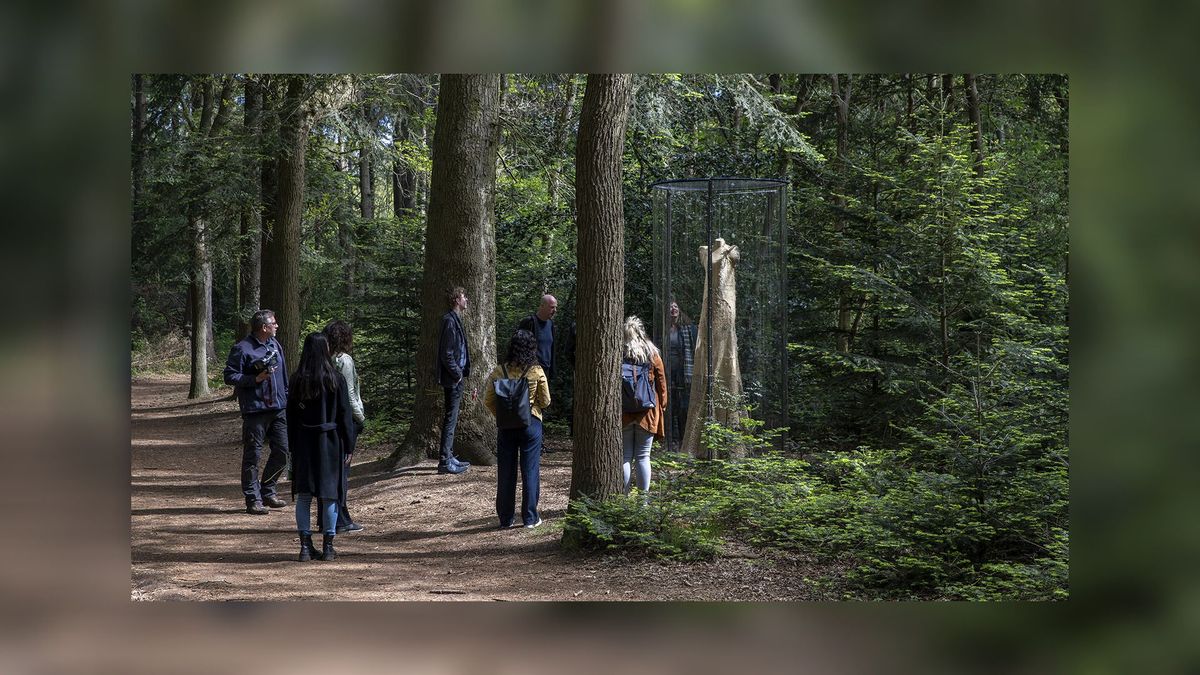 Jurken van natuurlijk materiaal van Paradyskunstenaar verstopt in het bos
