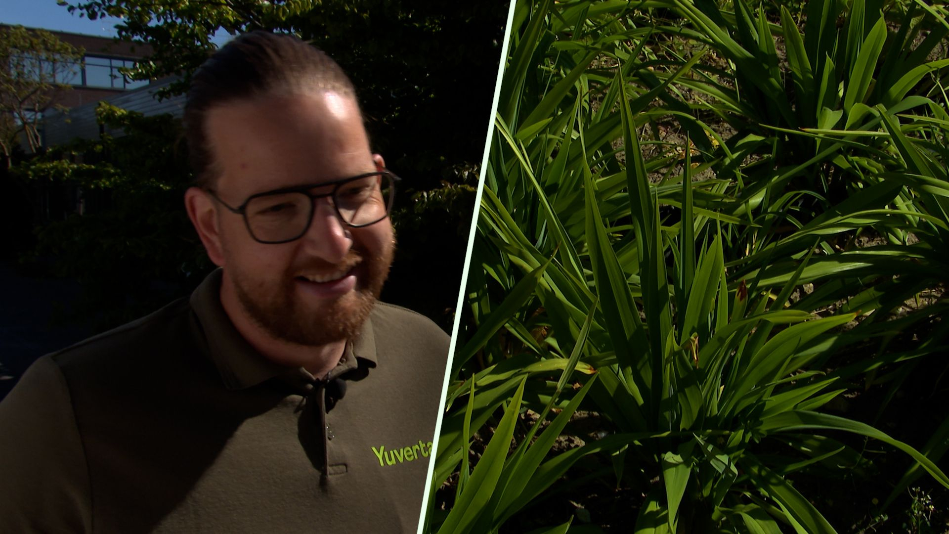 Verdroogt je tuin? Toch weinig sproeien, zegt deze tuinexpert