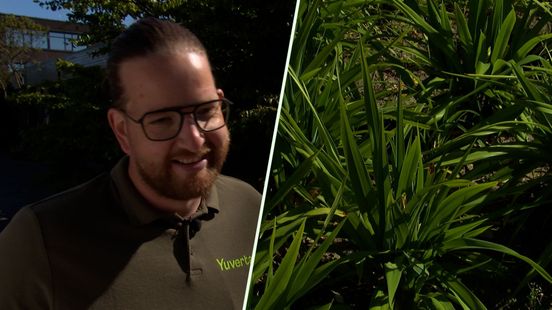 Verdroogt je tuin? Toch weinig sproeien, zegt deze tuinexpert