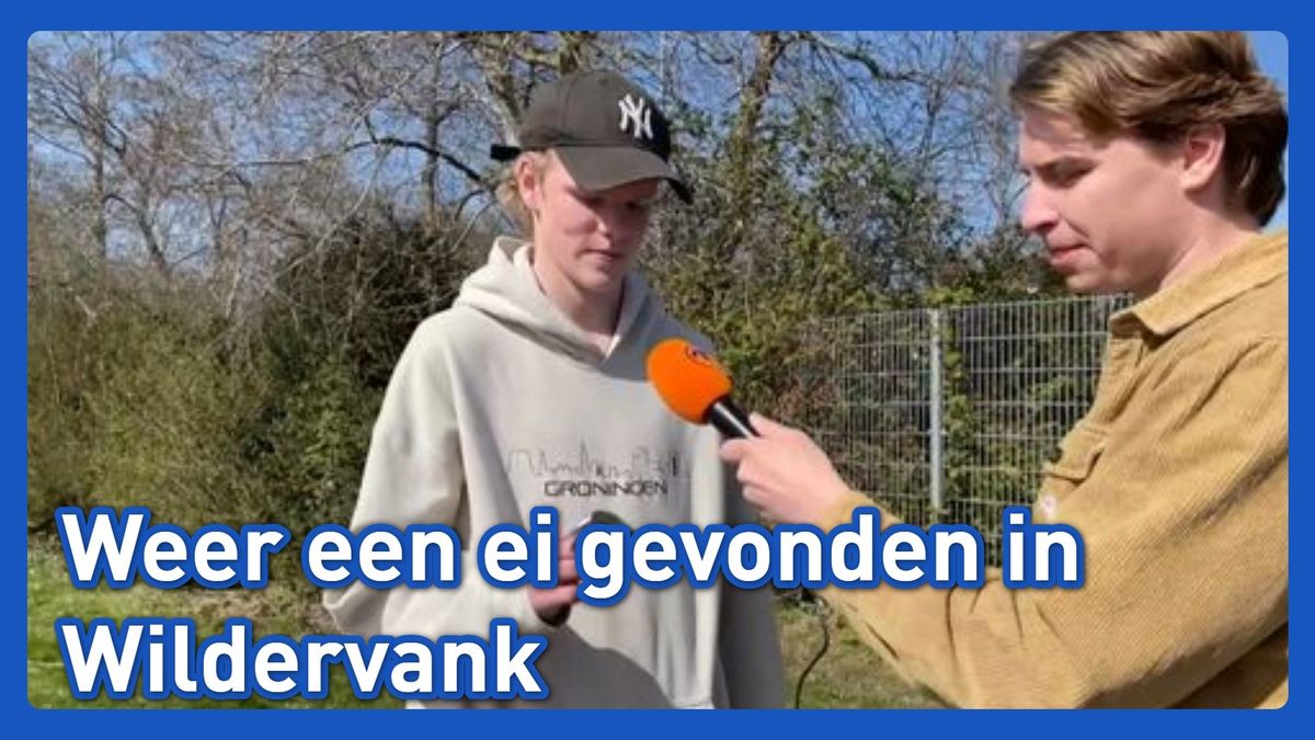 Over het hek klimmen voor een gouden ei