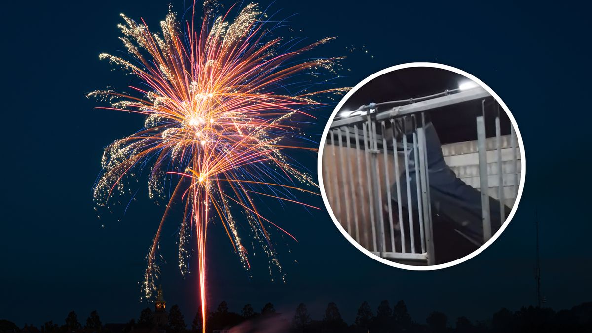 Paard Pearl raakt in paniek door vuurwerk: 'Vuurwerkverbod gaat niet helpen'