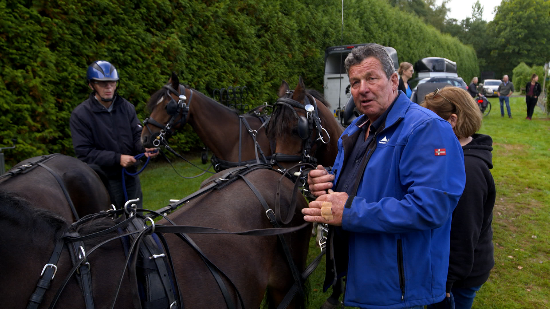 Wolf houdt paardenliefhebbers vierdaagse thuis