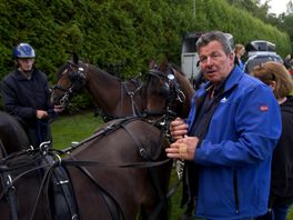 Wolf houdt paardenliefhebbers vierdaagse thuis