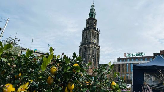 Bloemetjesmarkt in hartje Stad: 'Nog niet heel druk'