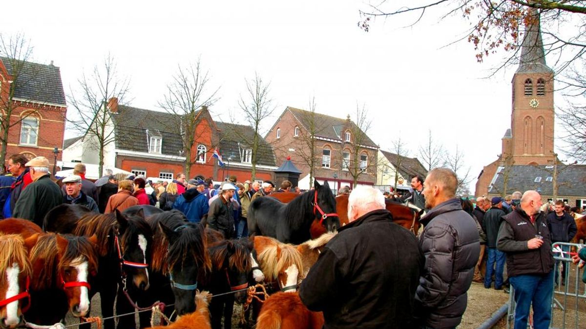 Grootste paardenmarkt weer in Lottum