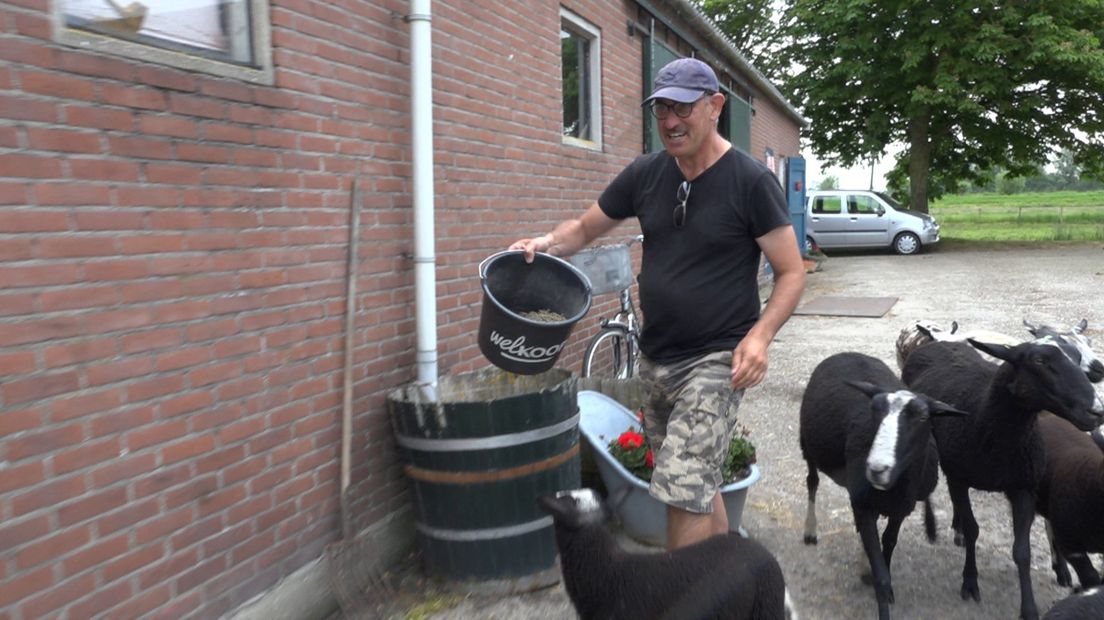 Bijan op Zorgboerderij SchaapNootMies