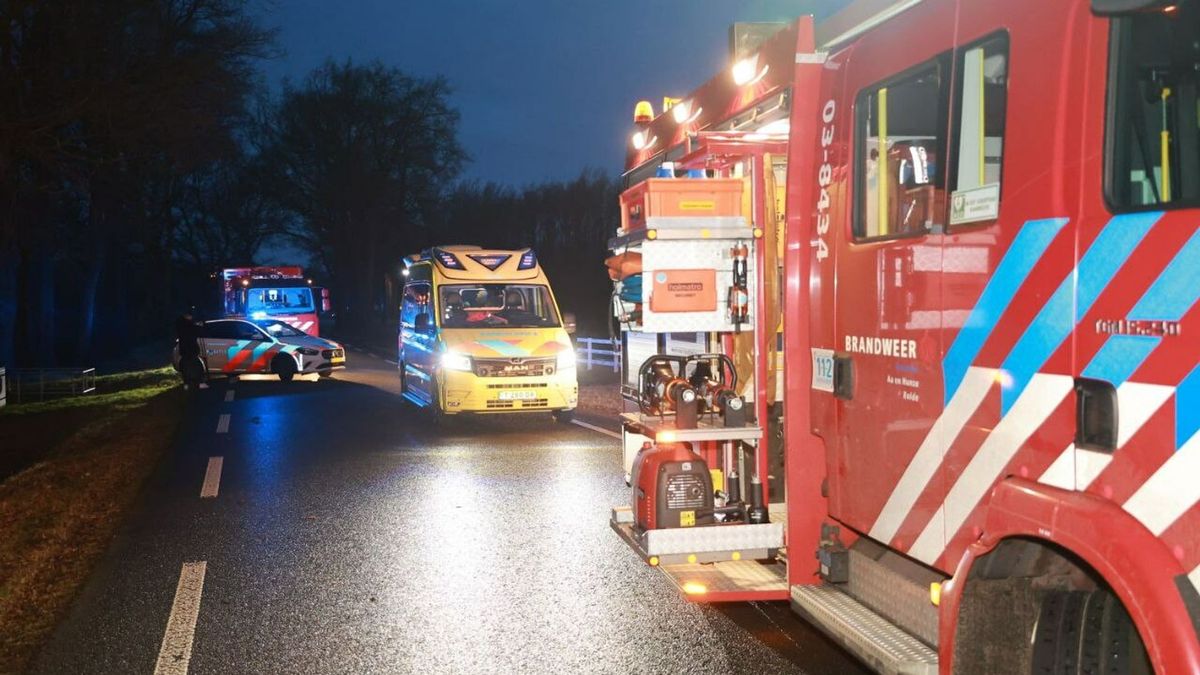 Bestelbus botst tegen boom bij Papenvoort, vrouw raakt zwaargewond ...