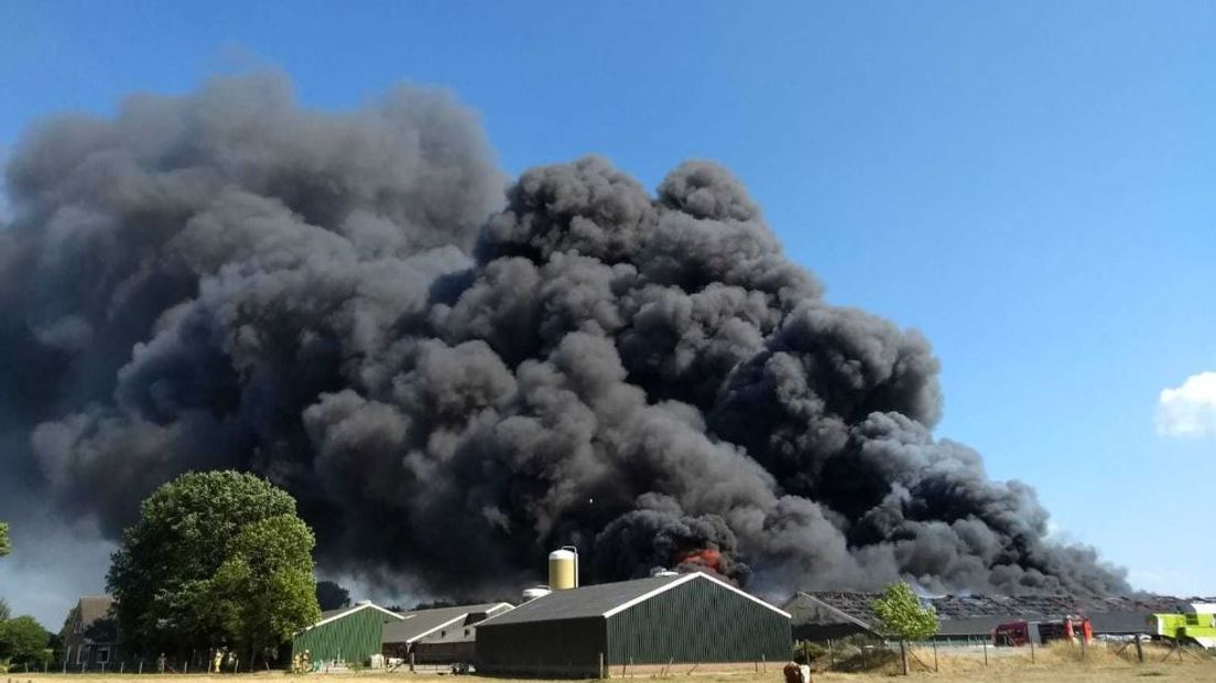 Bij een grote stalbrand aan de Tatelaarweg in Didam zijn dinsdagmiddag alle 2500 varkens omgekomen, meldt de veiligheidsregio. De rookwolken waren van ver te zien.