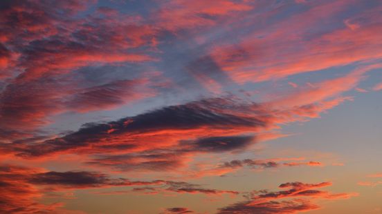 Slimme ideeën voor zorgteam droomreis