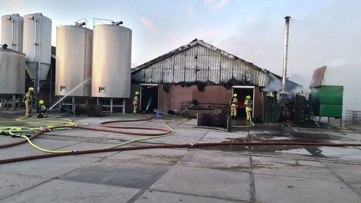 Brandende kachel waarschijnlijk oorzaak van de stalbrand in Streefkerk waarbij 200 kalveren omkwamen