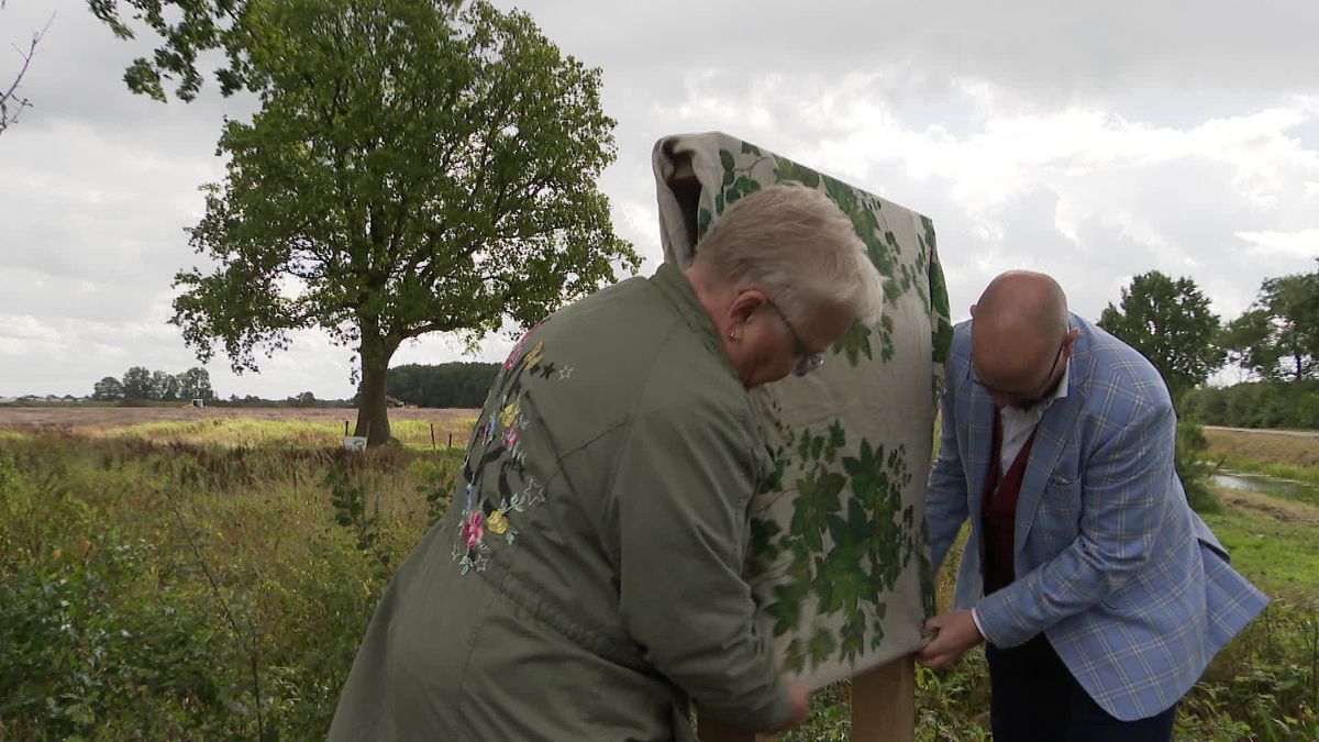 Informatiebord onthult geschiedenis van beroemde eik in Hollandscheveld