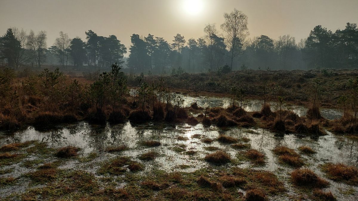 Limburg Kiekt: America, Beegden, Eygelshoven en...