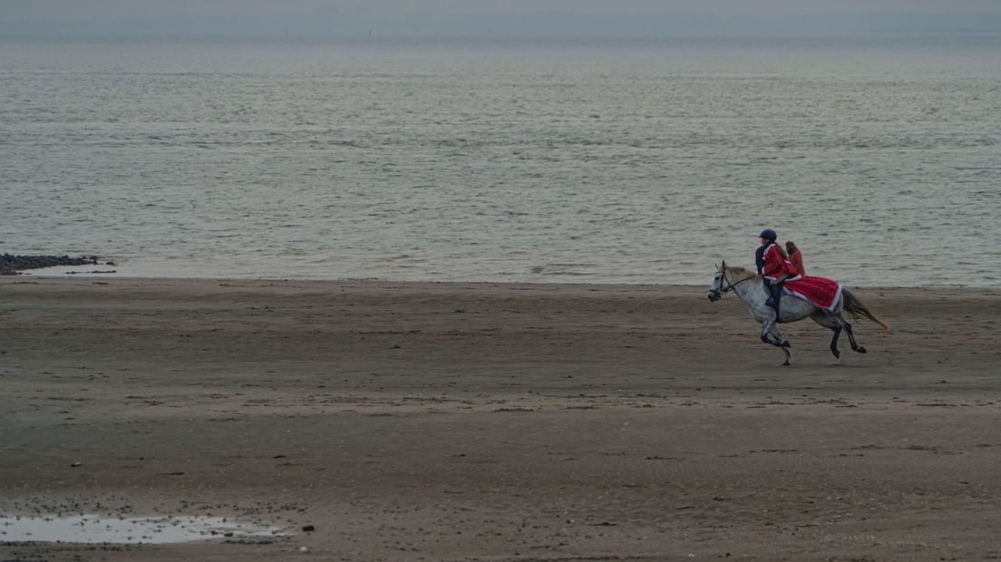 Paard, kerst, strand