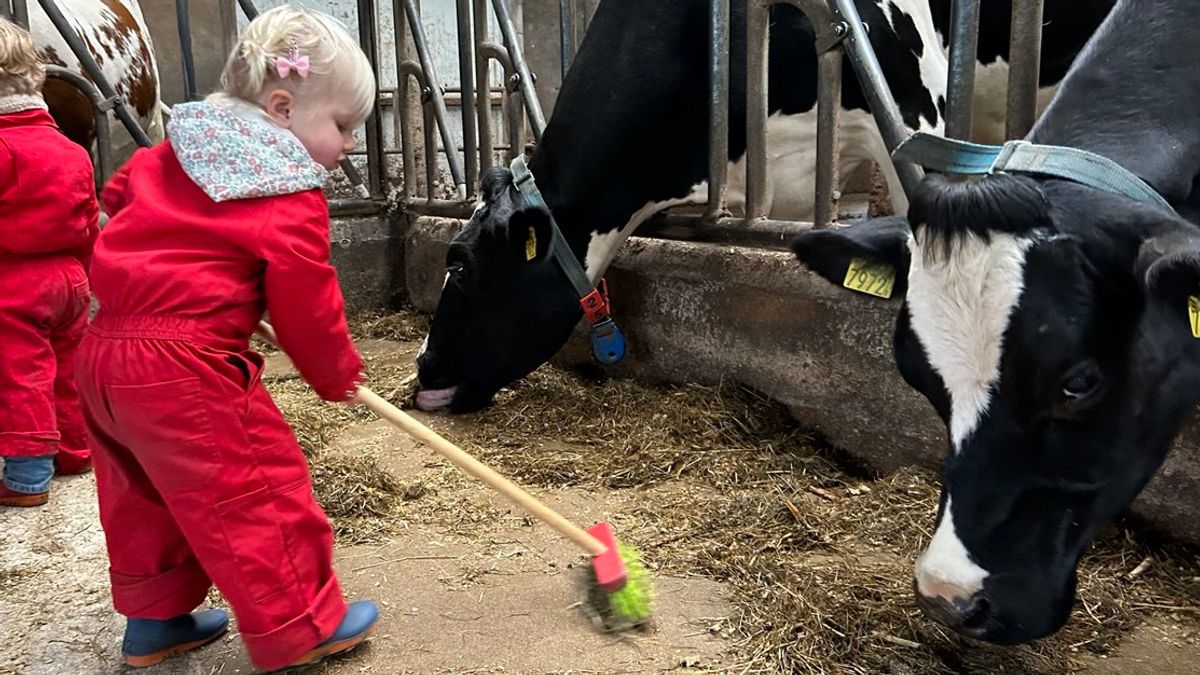 Een stal vol kinderen en koeien: zo ziet kinderopvang op de boerderij eruit