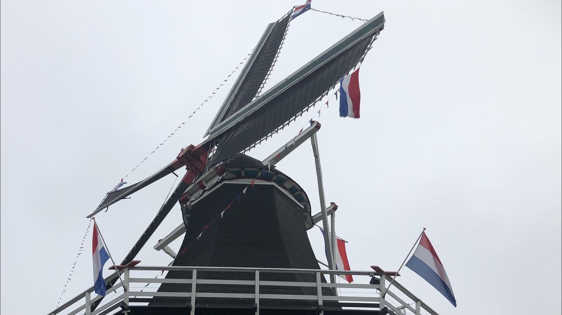 Korenmolen De Hoop in het Nieuwstraatkwartier