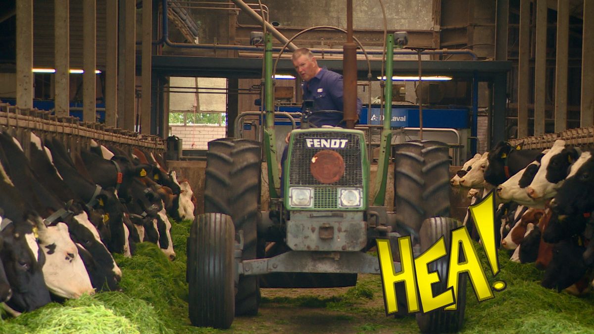 HEA! Bennie is al 40 jaar boerenhulp: 