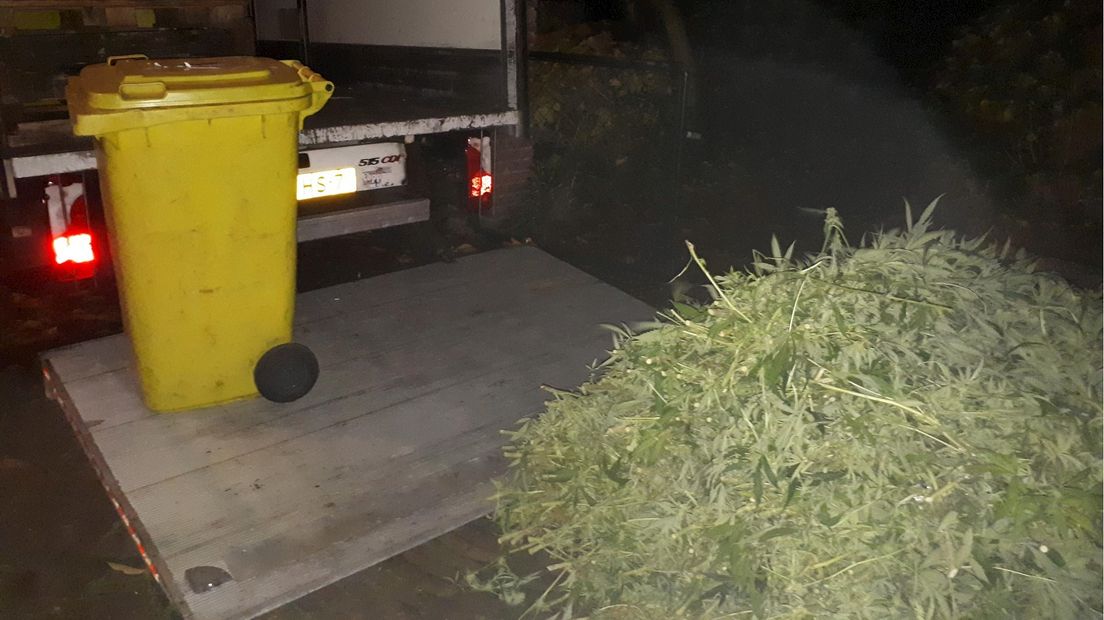 Hennepplantage in Almelo