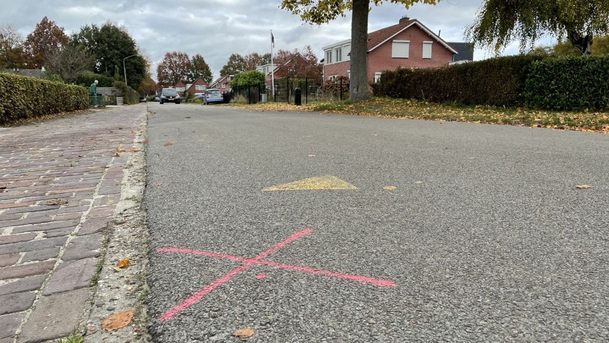 Drempels moeten 'scheurstraat' Zwartemeer veiliger maken