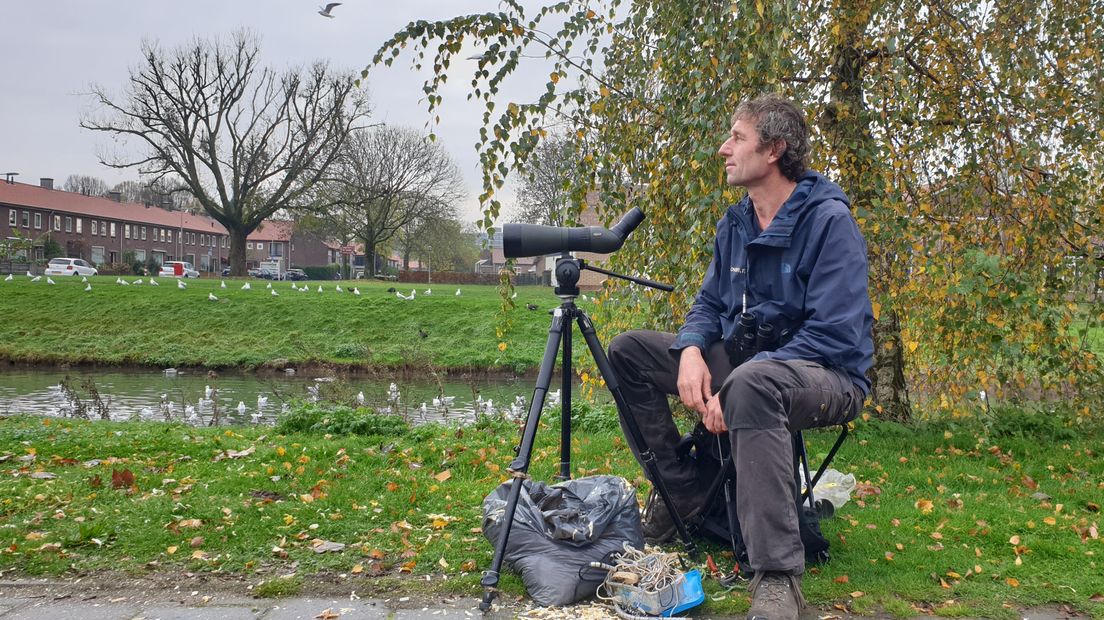 Vogelonderzoeker Frank Majoor.