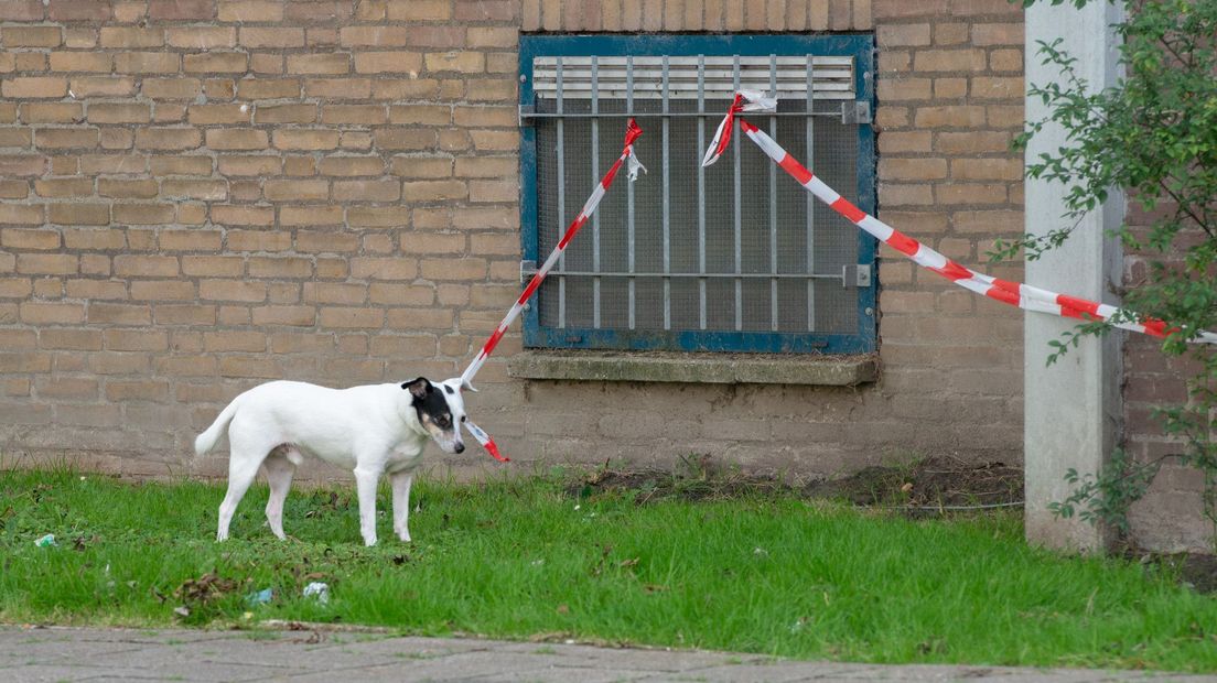 De hond van het slachtoffer