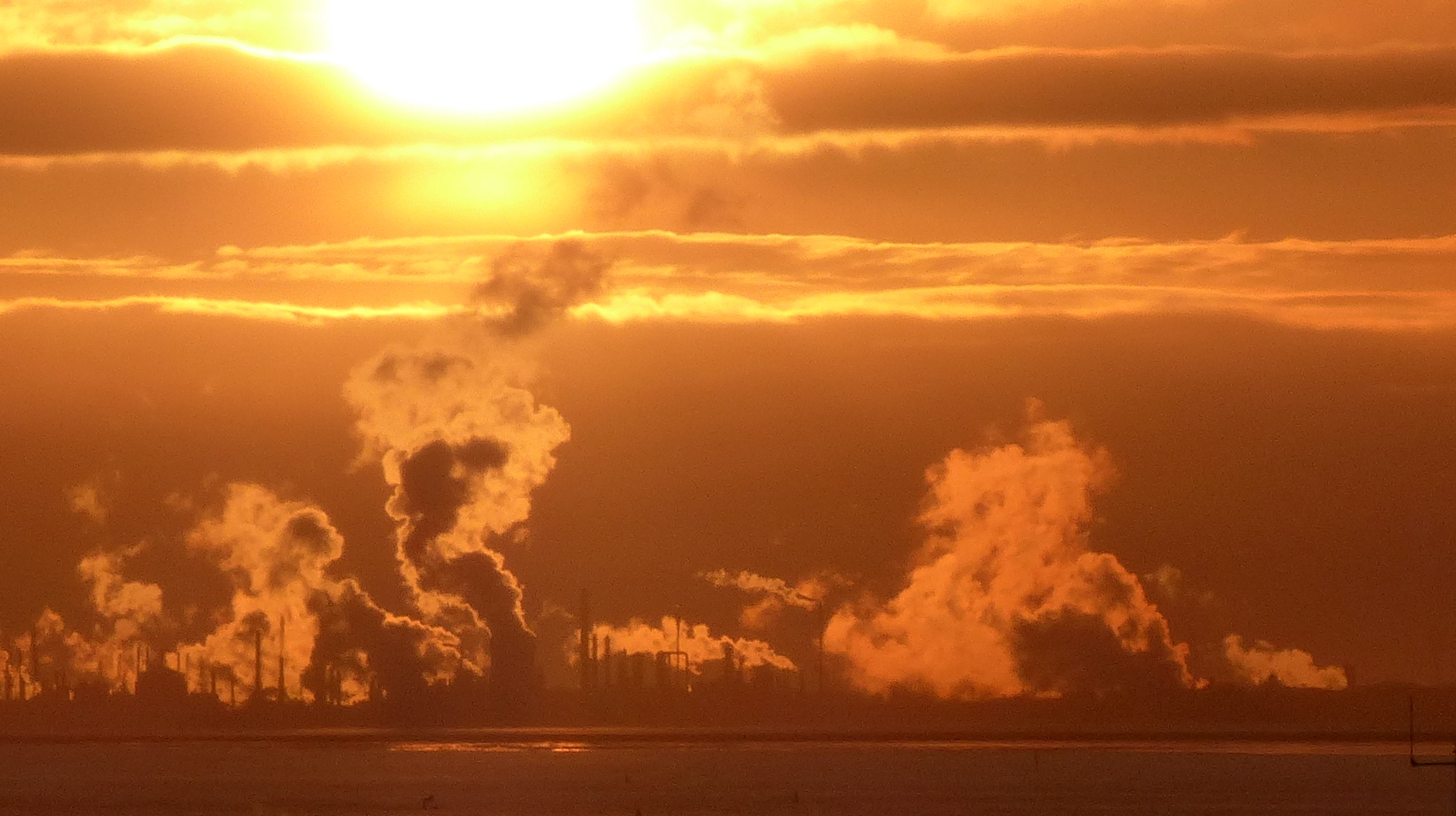 Vergunningen Zeeuwse industrie vaker niet op actueel, veel klachten over Cargill