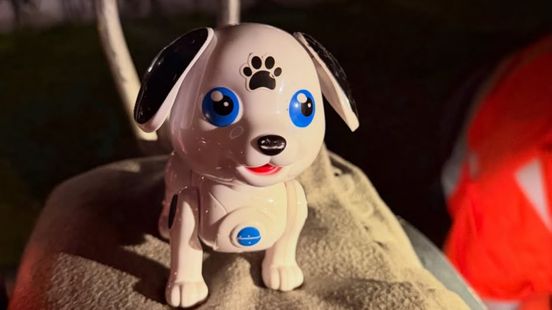 Politie en dierenambulance rukken uit voor speelgoedhond Nieuws
