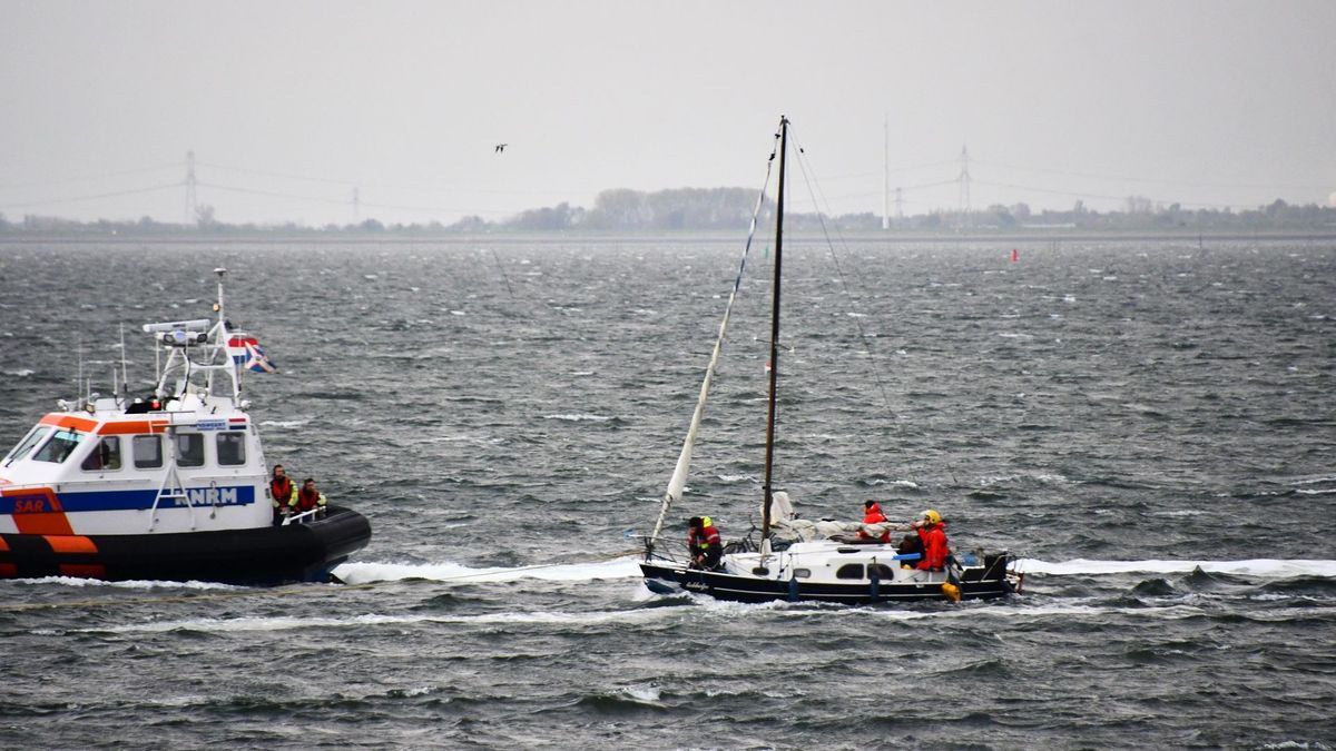 Zeiljacht in de problemen bij Scherpenisse, drie reddingsboten schieten te hulp