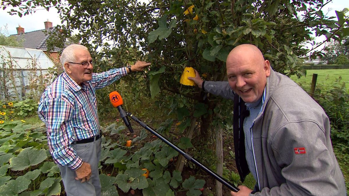 Expeditie 1,5 meter: Een pompoen in de boom