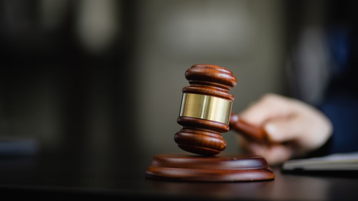 Leeuwarder krijgt zes maanden cel voor heling en diefstal | Politie onderzoekt bosbrand Feankleaster