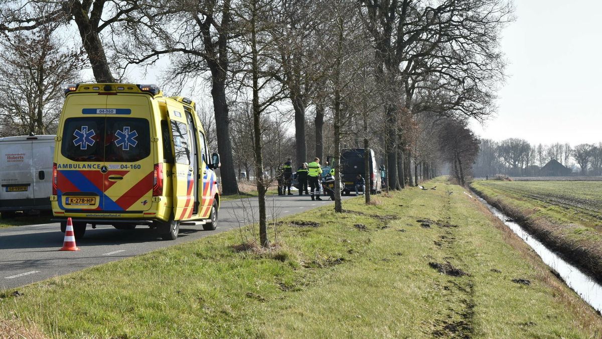 Nijevener (57) overleden na botsing op boom bij Havelterberg