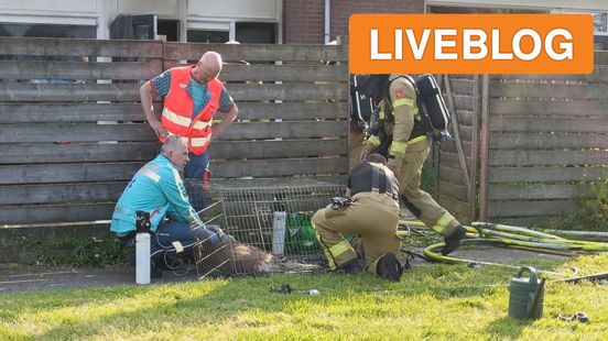 Hond dood na woningbrand • Aanrijding A1. Hond dood na woningbrand • Aanrijding A1.