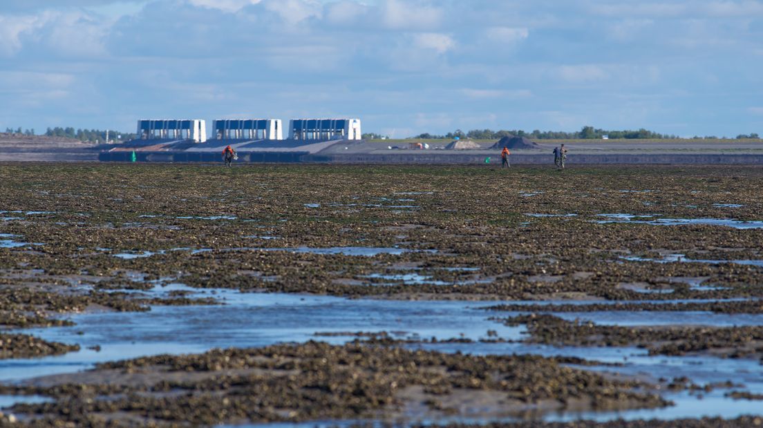 Undersikers en oaren dwaande yn de fierte op in mokselbank