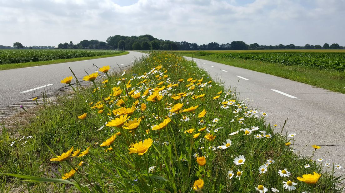 De provincie neemt maatregelen om het aantal verkeersdoden terug te dringen (Rechten: archief RTV Drenthe)