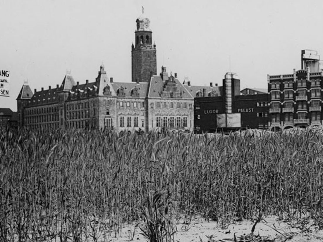 1943 landbouw Coolsingel/Kruisstraat Collectie Stadsarchief, foto E.A Hof