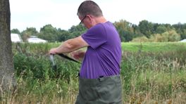 Op zoek naar waterplanten