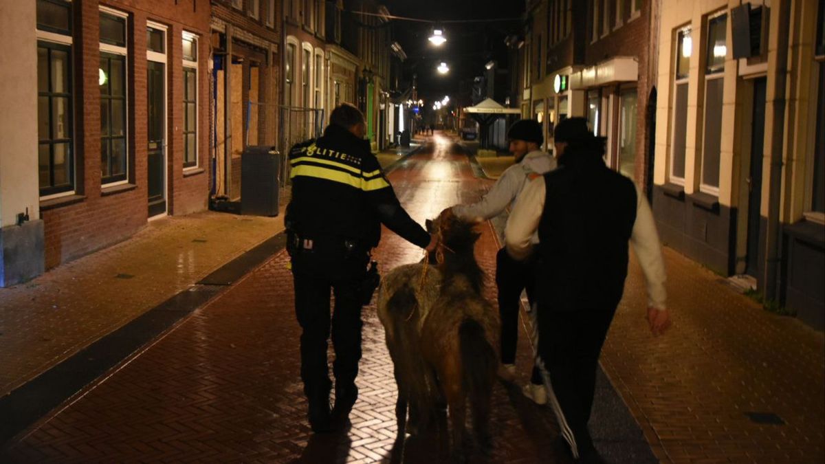 112 Nieuws Oud & Nieuw: Losgeslagen pony's en woningbranden