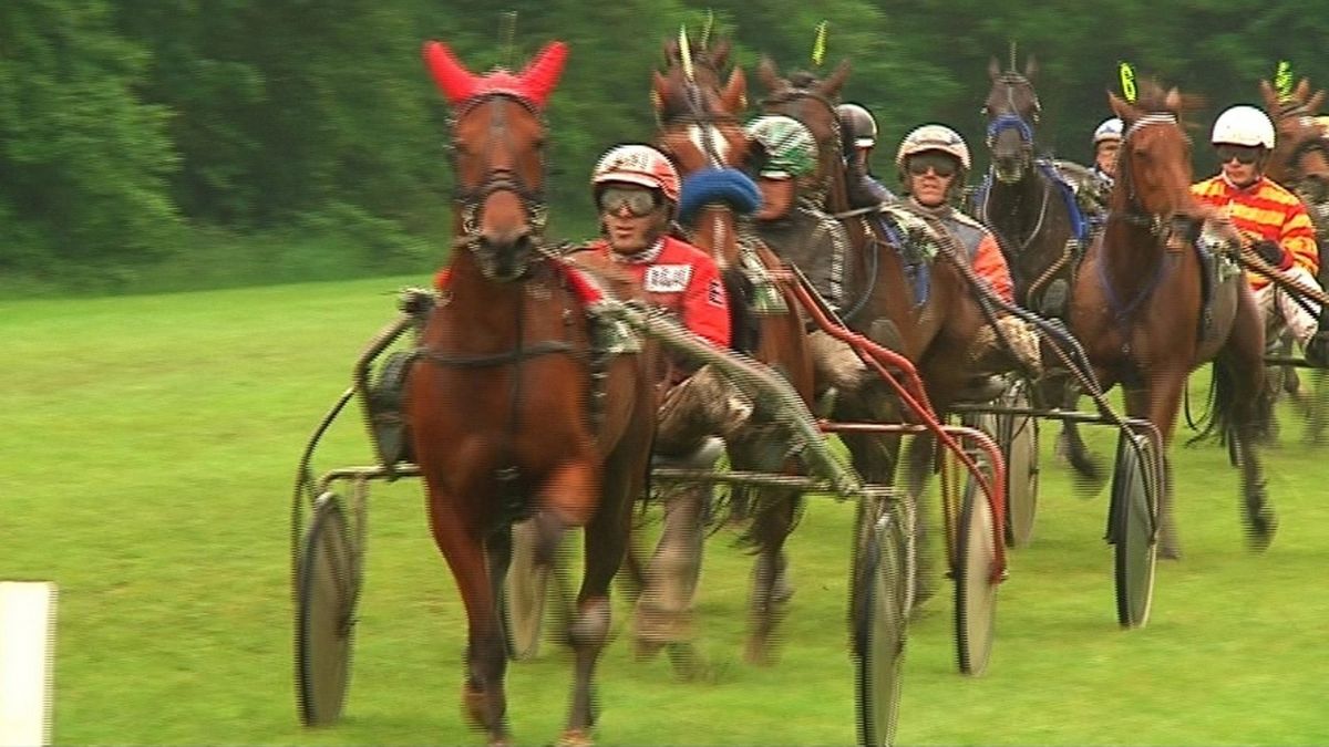 Honderd deelnemers grasbaankoersen Aduard