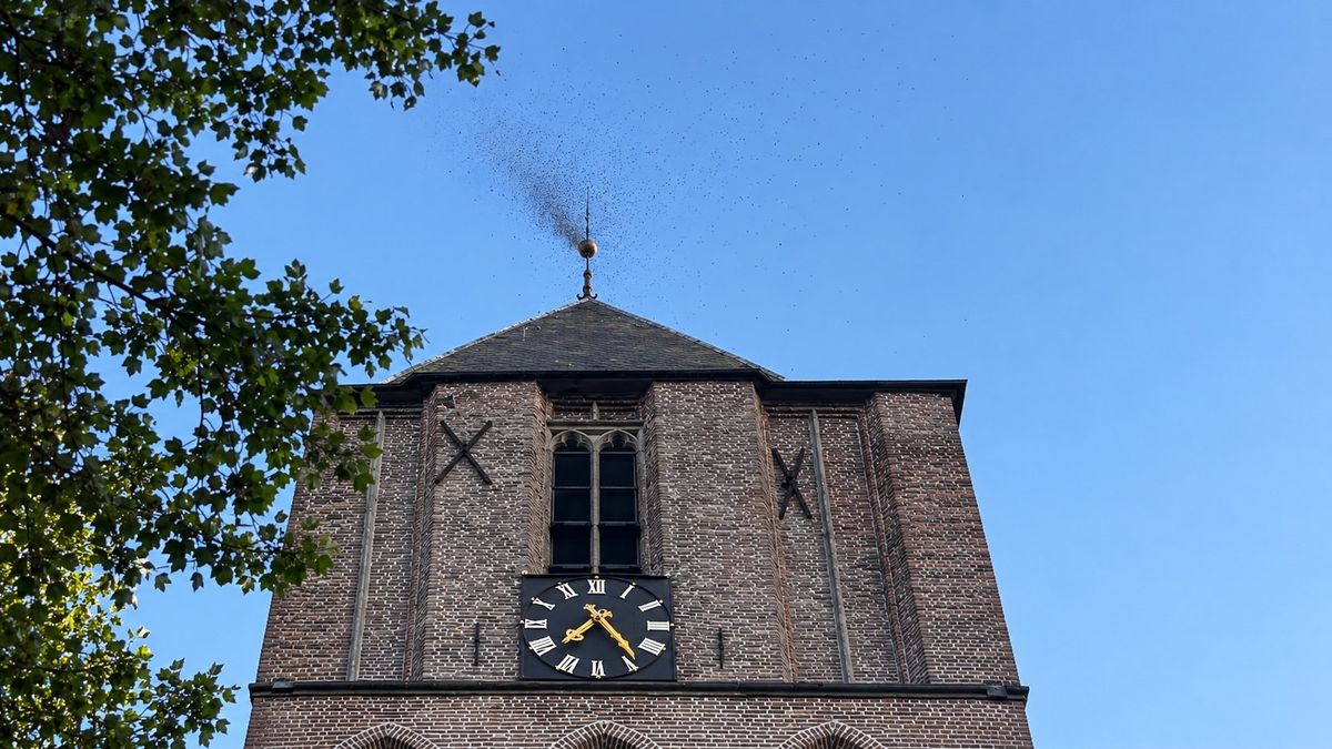 112 Nieuws: 'brand' in kerk Dalfsen blijkt iets heel anders te zijn