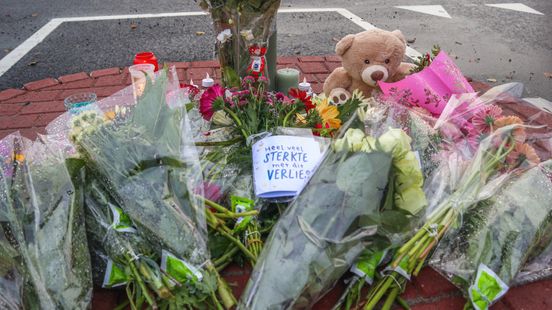 Taakstraf voor doodrijden Milo (14): 'Gezin zal nooit meer compleet zijn' Nieuws