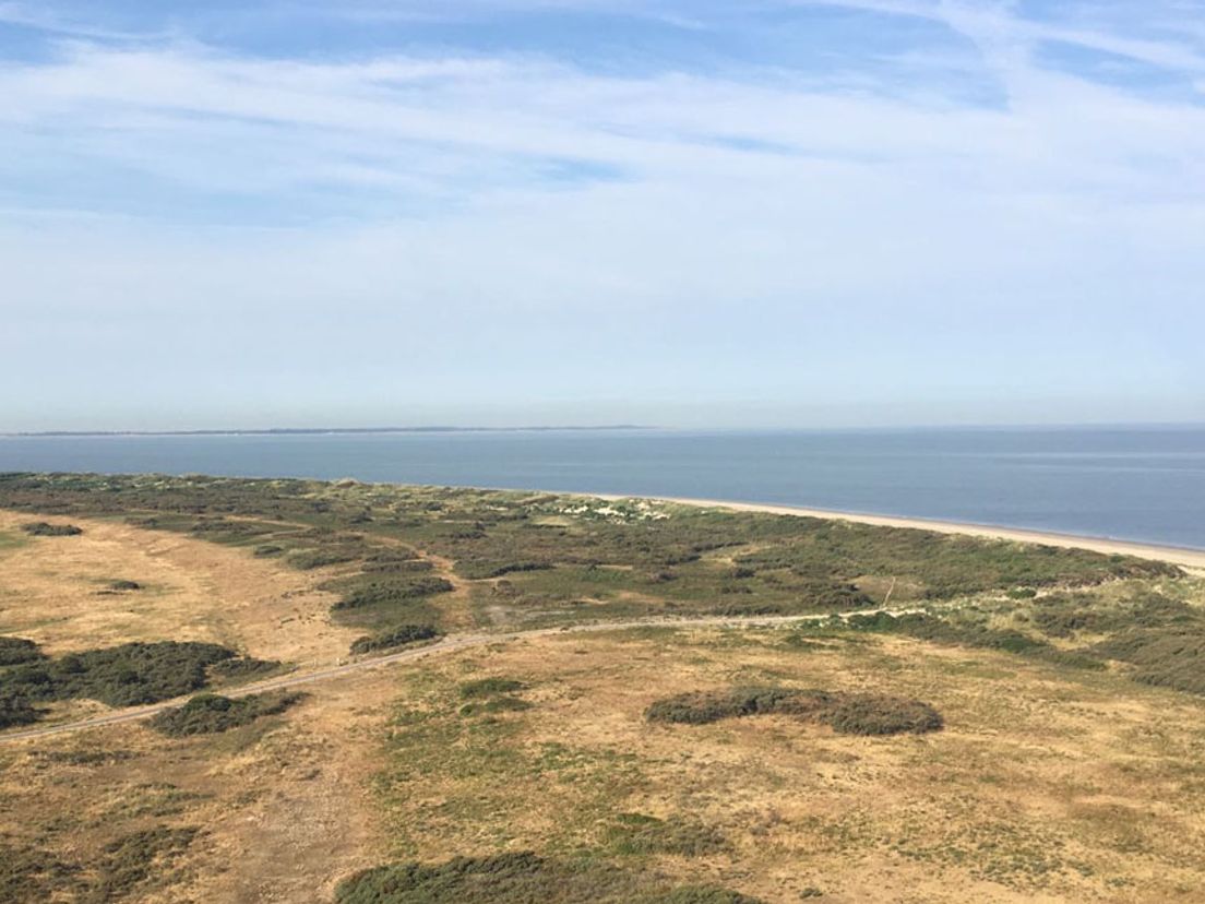 Het uitzicht vanaf de vuurtoren bij Ouddorp