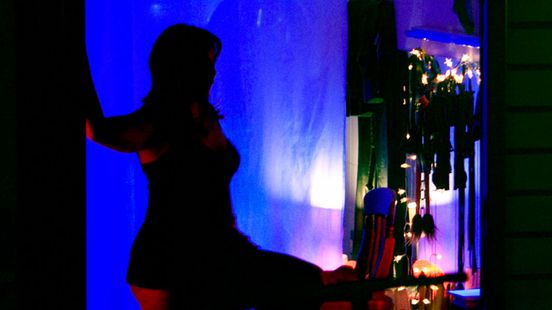 Geschreeuw en bedreigingen: celstraffen geëist voor seksuele uitbuiting Colombiaanse vrouwen Home