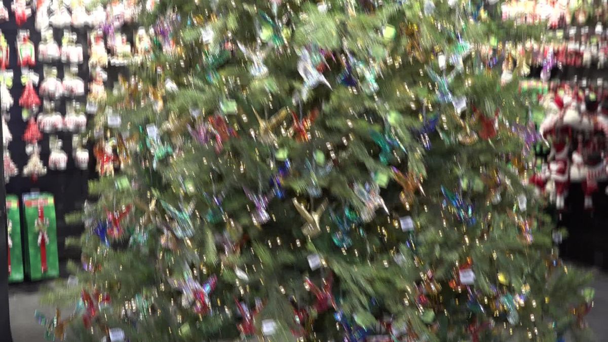 Kerst bij tuincentrum Oosterik RTV Oost