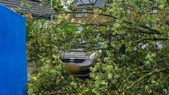 Foto: Boom waait op auto in Harderwijk