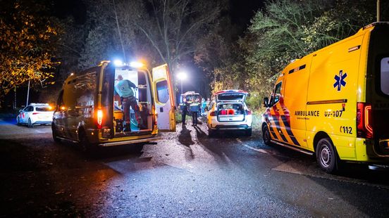Dode bij ongeluk tegen boom langs Pleijroute