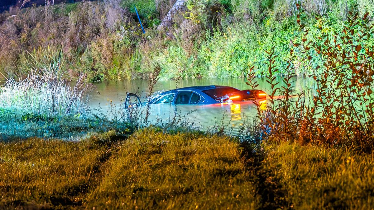 Automobilist wijkt uit en raakt te water