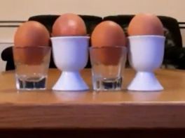 Nieuws waar je blij van wordt: Creatief met eieren en herken jij deze thuiswerksituatie?