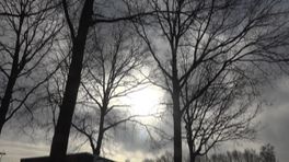 Van Dam over druk bij FC Emmen: 'Als hoofdtrainer moet je, je wereld klein houden'