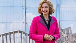 Edith Schippers weg als voorzitter pensioenfonds DSM