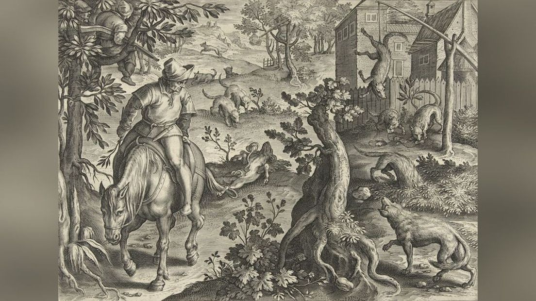 Wolvenjacht met lokaas en een wolfskuil (prent uit 1578).